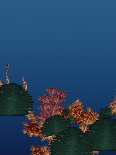 Creation of corals!!: Step 4